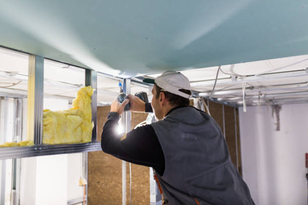Best Spray Foam Insulation in Eslon, CA