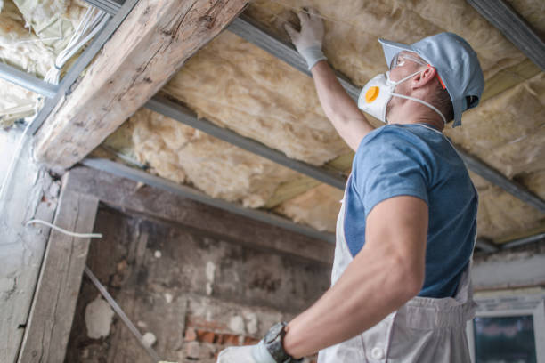 Best Eco-Friendly Insulation in Eslon, CA