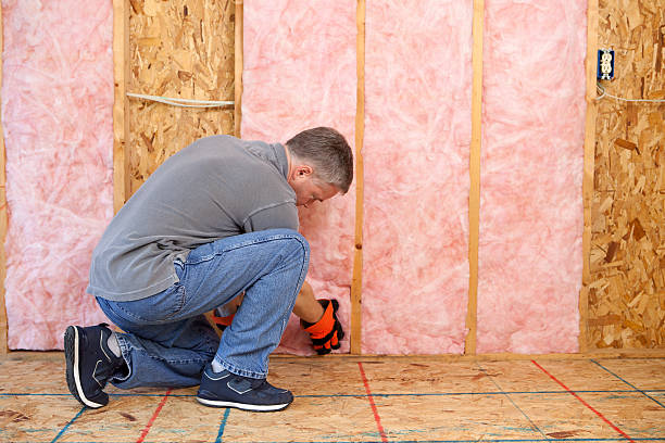Types of Insulation We Offer in Escalon, CA
