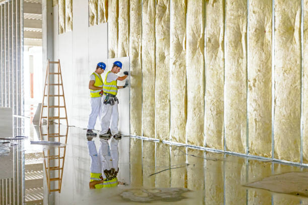Best Residential Insulation in Eslon, CA